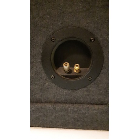 Phoenix Gold Bass Box 12" met kast