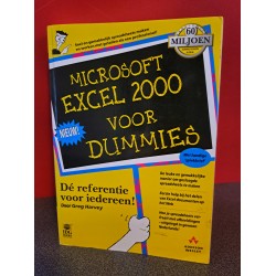 Microsoft Excel 2000 voor Dummies