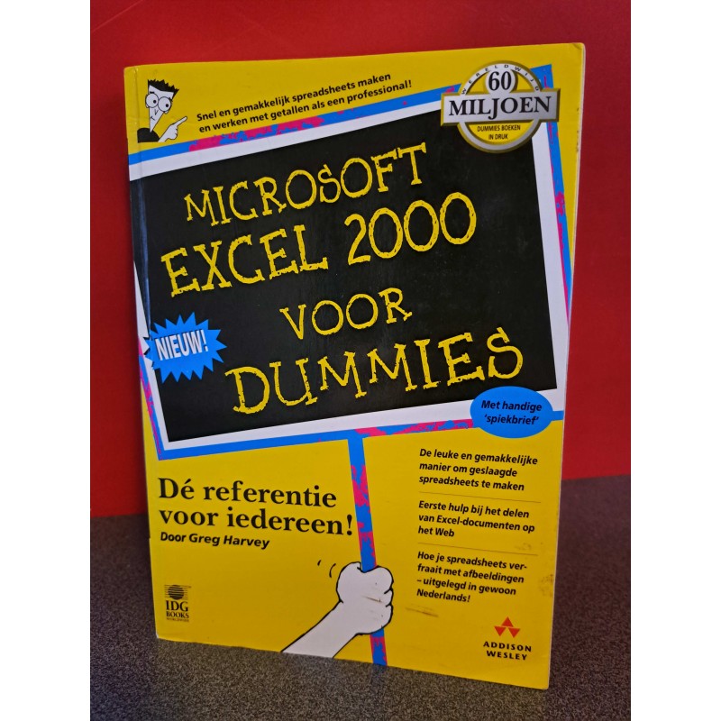 Microsoft Excel 2000 voor Dummies
